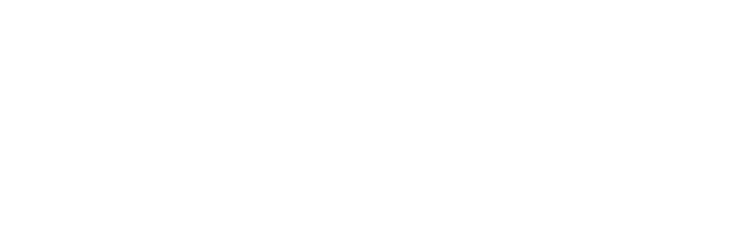 Dempsey Kingsland Osteen Logo